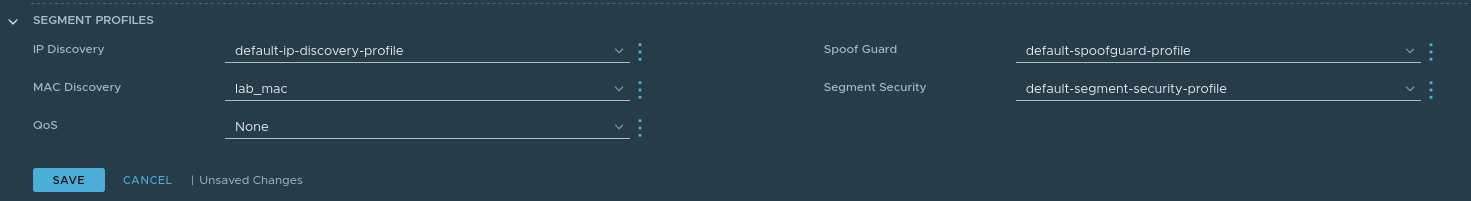 Screenshot of segment profile settings in NSX-T
